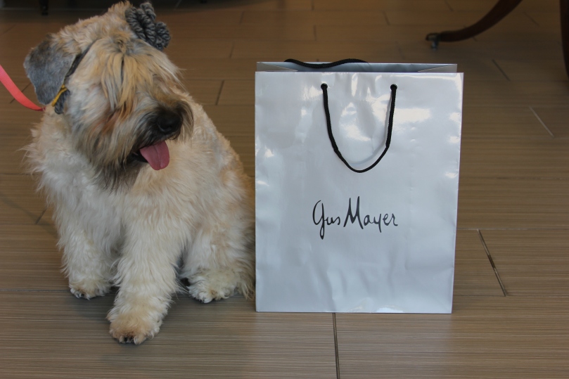 Even Mattie loves shopping trips to Gus Mayer!