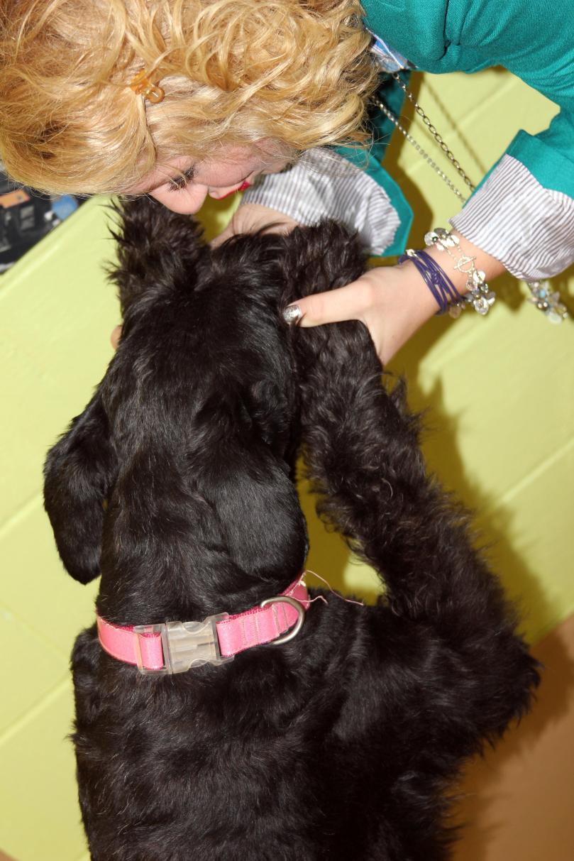 Love my Giant Schnauzer, Ziva! Sappy dog momma moment: Ziva holds the key to my heart:) 